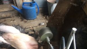 Перосъемная насадка для ощипывания домашней птицы