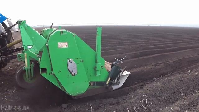 Окучивание картофеля, рыхление почвы, уничтожение сорняков, культиватор - гребнеобразователь Колнаг