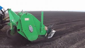 Окучивание картофеля, рыхление почвы, уничтожение сорняков, культиватор - гребнеобразователь Колнаг