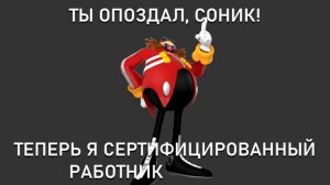 Ты опоздал, Соник! Теперь я сертифицированный...