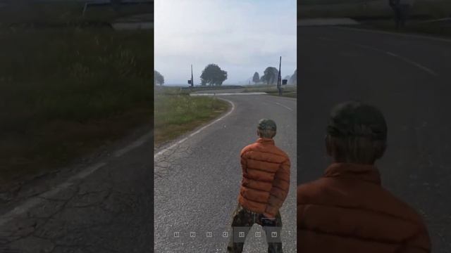 Интересный факт DayZ