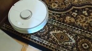Как робот-пылесос Xiaomi RoboRock       пылесосит ковёр