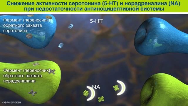 Механизм действия обезболивающего
