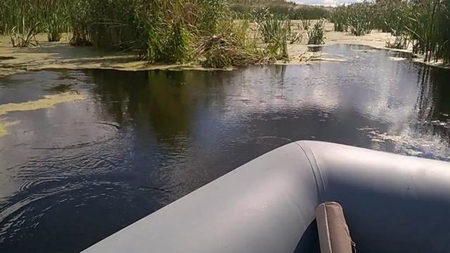 Колхозный болотоход в действии.