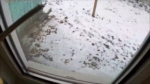 Почему окна Потеют и Замерзают В чем причина и как её устранить 100% результат!