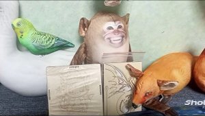 С днём рождения меня.😄