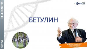 Бетулин. Где находится и как влияет на здоровье человека. В. Дадали