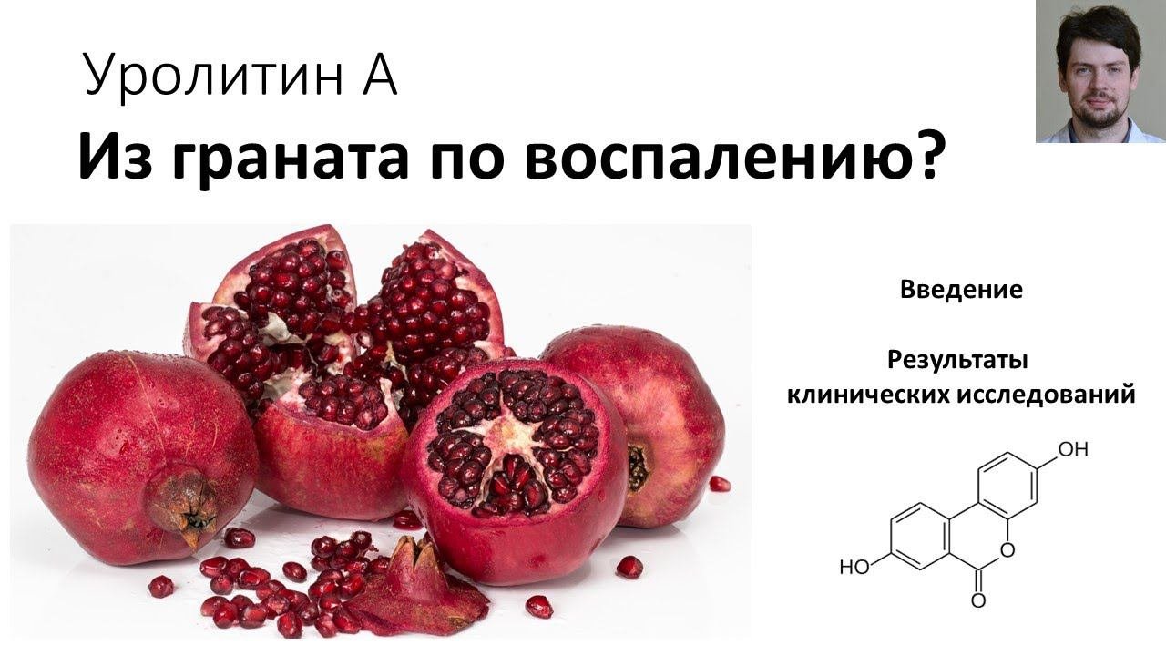Уролитин А - помощь при хроническом воспалении? Введение.