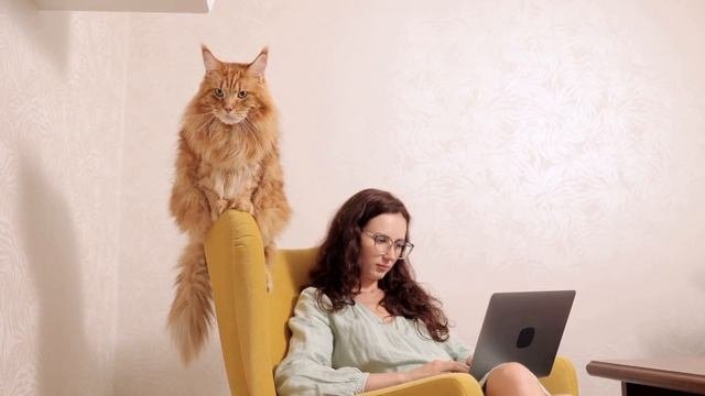 Мейн Кун