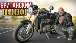 Triumph Thruxton R: правильный каферейсер #МОТОЗОНА №149