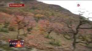 В Крыму вырастили урожай граната, хурмы и киви