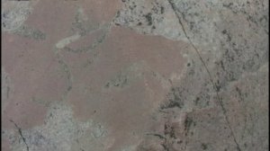 Онежские петроглифы - свидетели древнейшей цивилизации