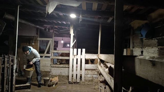 Сын проводит экскурсию/ Кормление животных/ смотреть онлайн