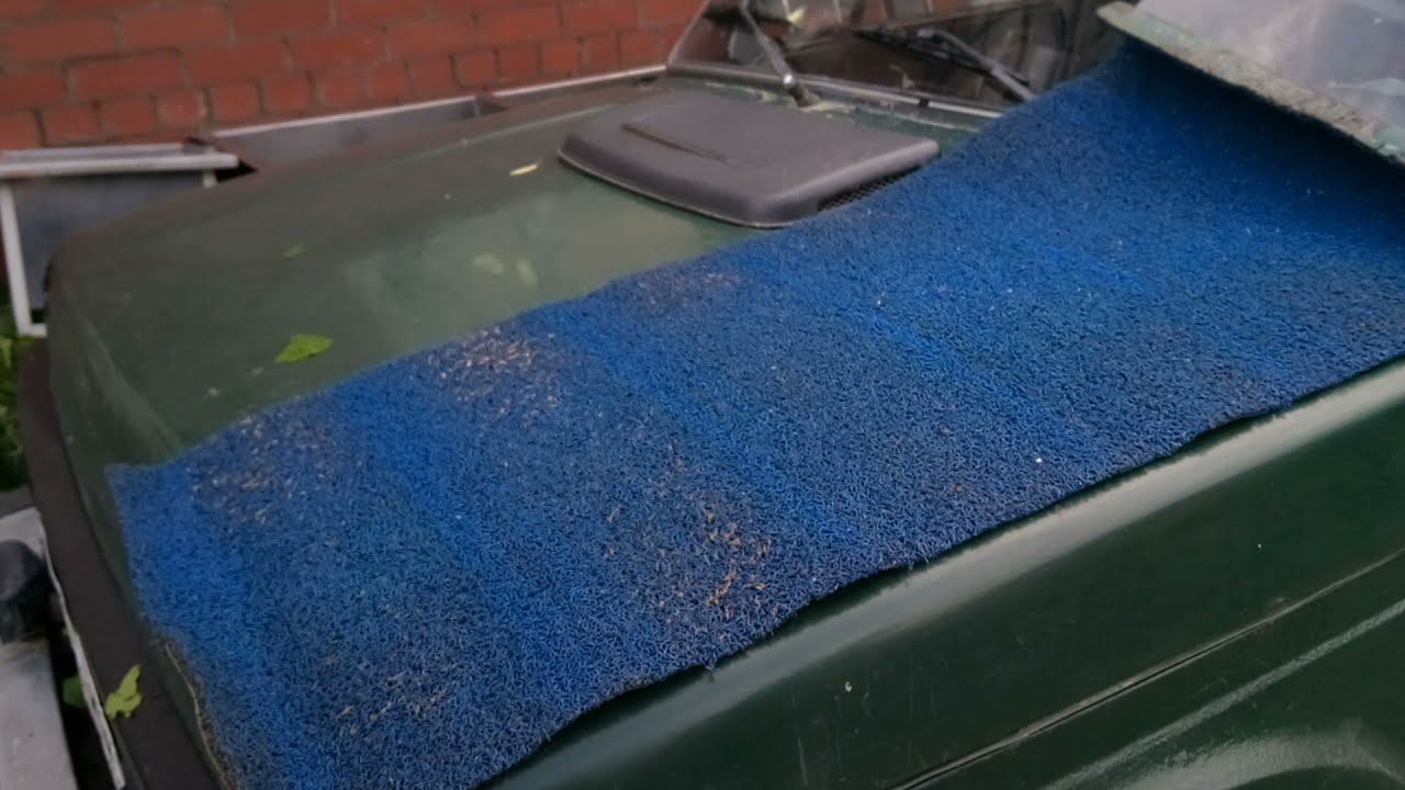 Мох старательский смотреть онлайн