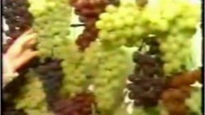 Репортера бьет током