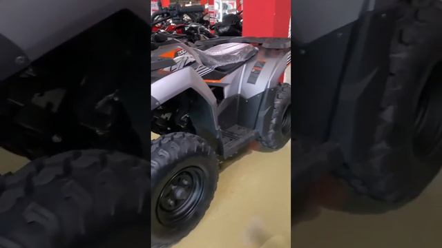 Поступление квадроциклов от Loncin в "Мегамото"