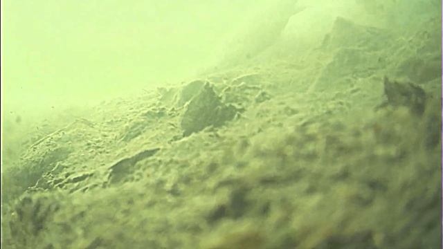 Распаковка и тест камеры Язь 52 смотреть онлайн