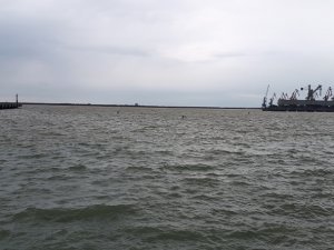 Туапсе 31.01.2022 акватория порта, набережная: форель рвёт подсаки.