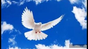 Почему человек не помнит свои предыдущие жизни......
