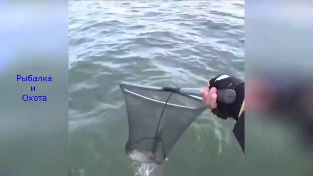 Удивительный улов Вот это Рыбалка #69 смотреть онлайн