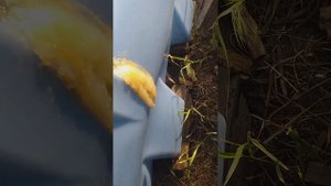 Ремонт пластиковой бочки своими руками. часть2.