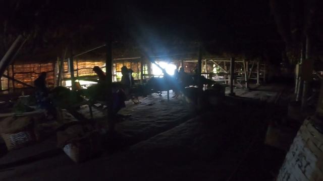 Dark Warehouse of Drying Tobacco Leaves I Klaten, Central Java l Indonesia смотреть онлайн