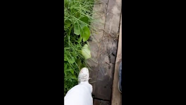 Озеро Светлояр - легенда веков.
