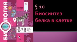 Параграф 10. Биосинтез белка в клетке