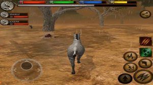 🦓Zebra VS 🦁Lion, Hyena, Ultimate Savanna Simulator