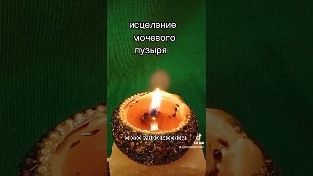 исцеление мочевого пузыря. программа ликвидирующая повреждения мочевого пузыря.