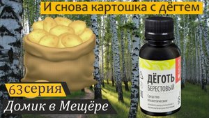 Повышаю урожайность картофеля и борюсь с шелкопрядом. Домик в Мещёре, серия 63