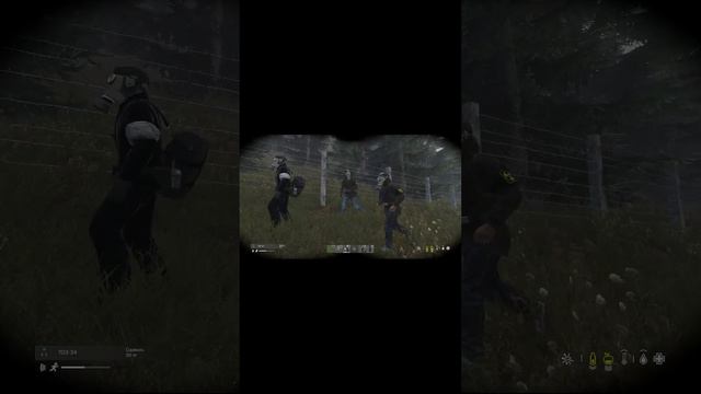 Нежданный певец - DAYZ stalker rp #shortsvideo #dayz #stalkerrp #дейзрп #shots #stalkerrpdayz #дейз