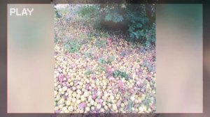 Изменения в природе осенью.