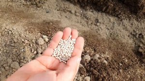 МАЛЕНЬКИЕ ХИТРОСТИ? ВЫСАЖИВАЮ ПОМИДОРЫ В ТЕПЛИЦУ? Подмосковье