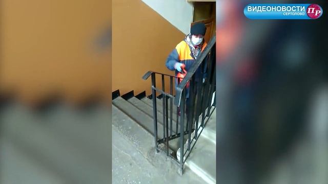 Видеоновости Сертолово. Выпуск №11