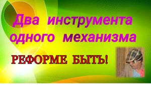 РЕФОРМЕ БЫТЬ / Два инструмента одного механизма.
