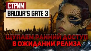 Щупаем ранний доступ и ищем медведей в Baldur's Gate 3