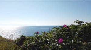 Поездка в Иркутск. Байкал!