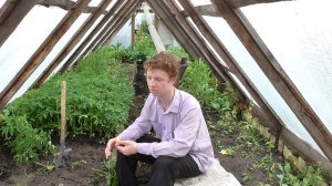 Чем я занимаюсь в парнике в весенний период...