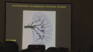 УЗИ почечных сосудов (7 Съезд РАСУДМ УЗИ)