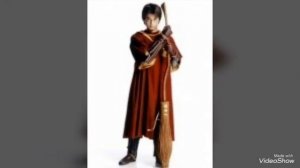 Тест для фанатов Гарри Поттера/пройдите видео тест