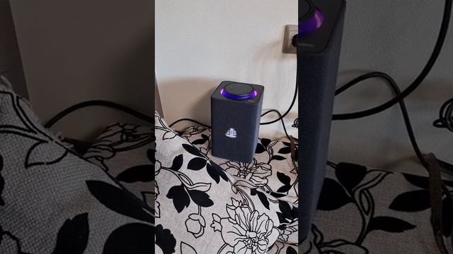 ✔✔Алиса осталась без полки✔✔?Приколы от Жанны | Тик Ток #Shorts? смотреть онлайн