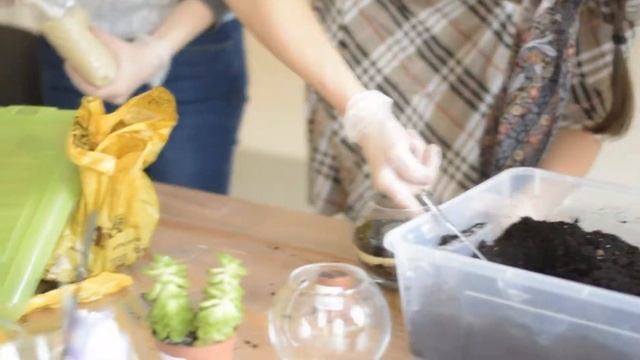Отчет о мастер-классе по созданию флорариума