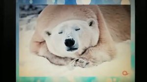 Презентация «Земля - наш общий дом» ?