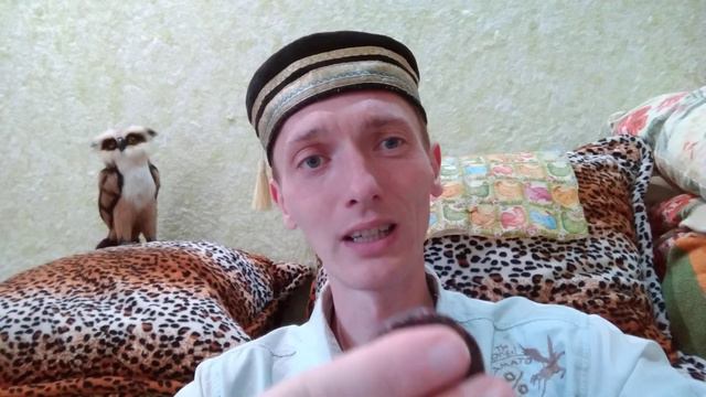 Dogecoin растет, но куда делся форк Doge 2013 года? Как работает блокчейн что такое криптовалюта