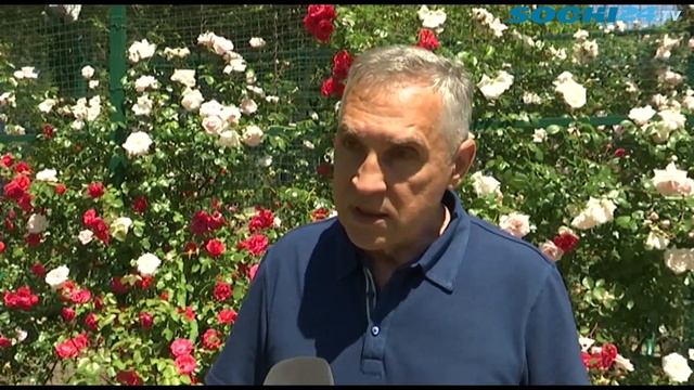 Пора цветения роз пришла в парк Ривьера смотреть онлайн