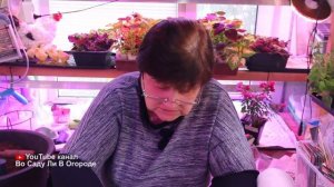 Семена арбуза проклюнутся дружно и быстро после такого проращивания.