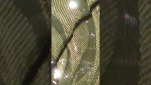 ловля бычка в Таганроге