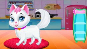 Рet care the veterinarian washes feeds the animals. Уход за домашними питомцами моем кормим животны