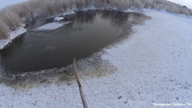 Зимняя рыбалка на паук подъемник. Рыба кипит в ручье. смотреть онлайн